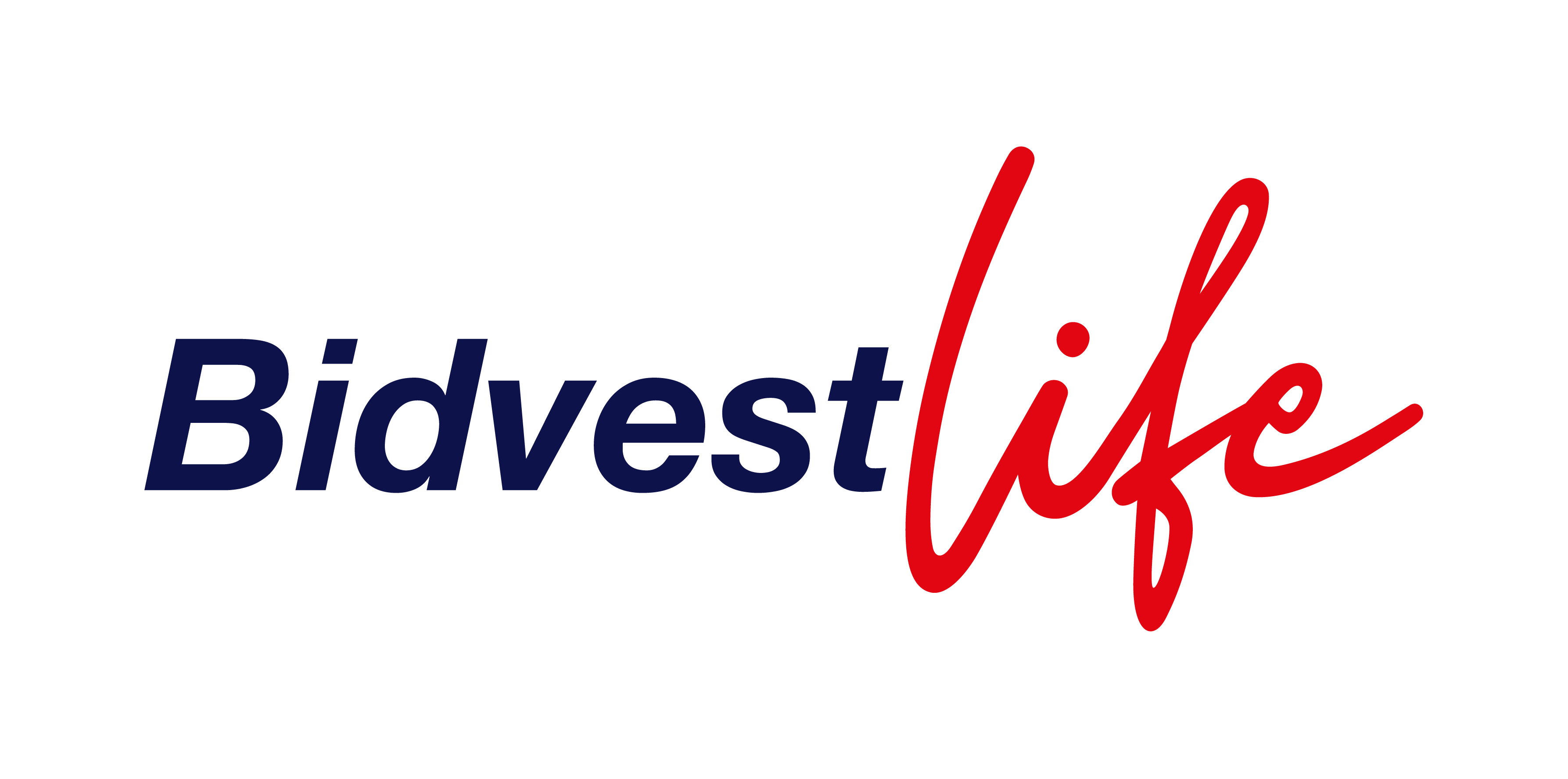 Bidvest Life